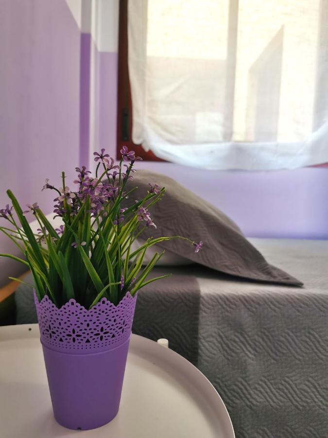 Apartament Anais Dreams&Relax Corralejo Zewnętrze zdjęcie